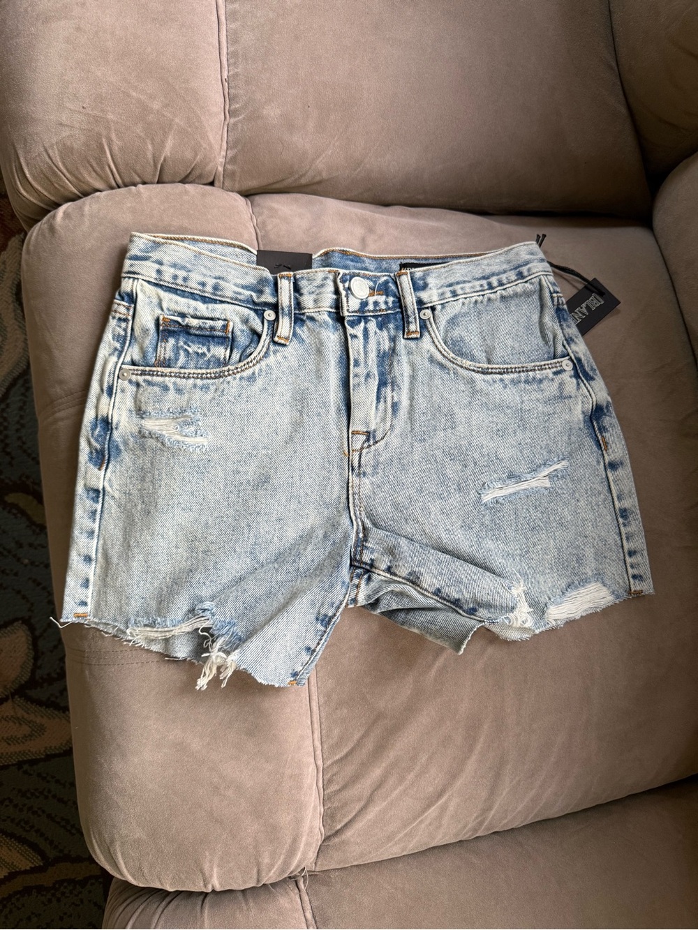 Blank NYC Light Wash Distressed Denim Jean Shorts